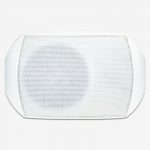 TL-G62 6.5 INCH WATERPROOF WALL MOUNT speaker