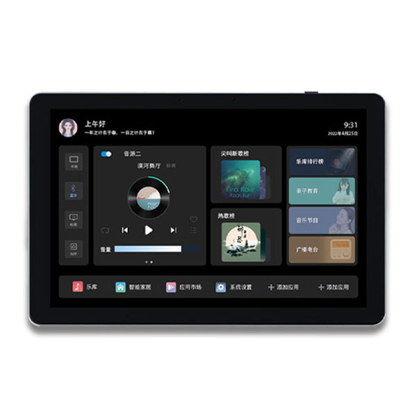 TL-C10G2 8英寸背景音乐控制器