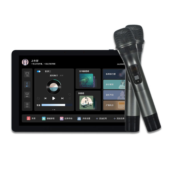 TL-C10G4 8寸K歌背景音乐控制器