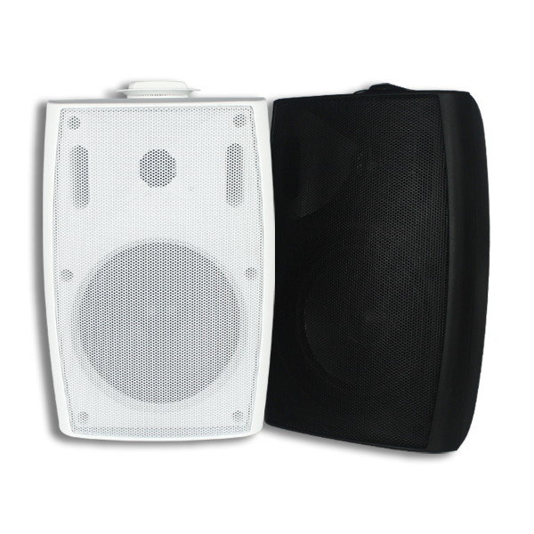 TL-G51 5.25 英寸壁挂音箱